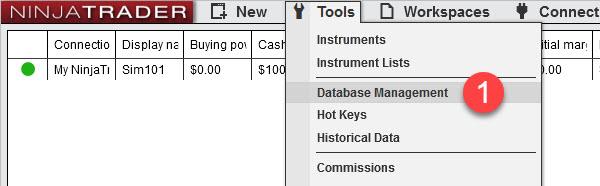 NinjaTrader Rollover 1