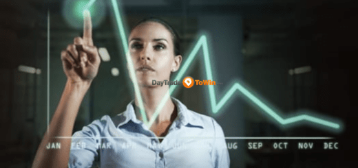 Investor